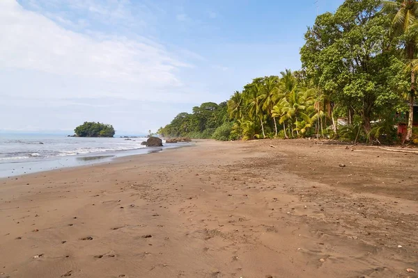 Palmen und Regenwald am Sandstrand des Ozeans — Stockfoto