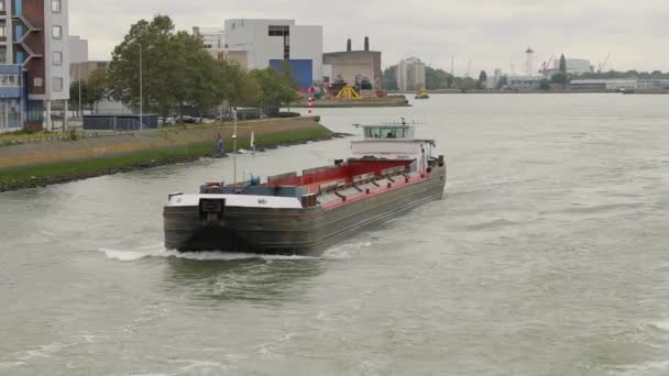 Navio graneleiro de carga em Roterdão — Vídeo de Stock