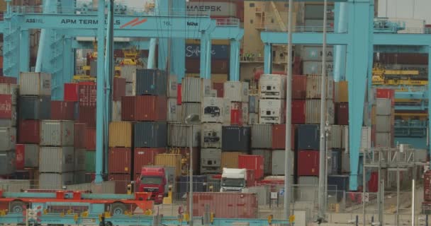 Contenedores de carga apilados, Grúas descargando de camiones — Vídeo de stock