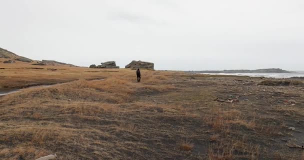 Senderismo en Islandia, caminar sobre arena negra por debajo de acantilados brumosos — Vídeo de stock