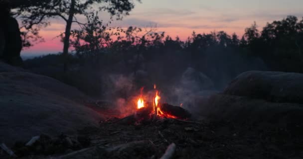 Kampvuur Vlammen, schemerlucht — Stockvideo