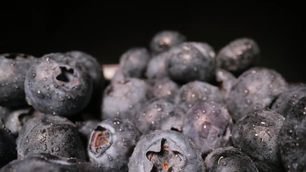 Blaubeeren in einem Haufen Sondenlinsen-Makro — Stockvideo