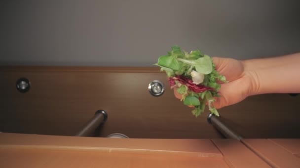 Verse groene salade blad gedropt op voedsel — Stockvideo