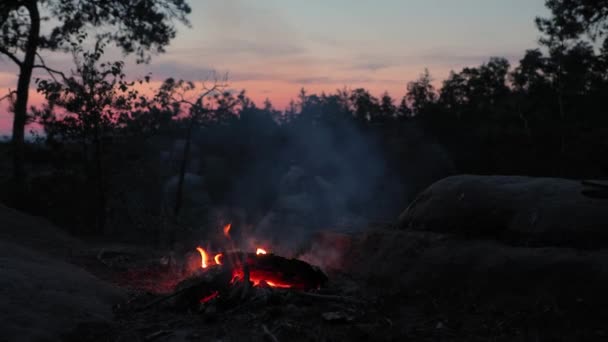 Fuego de campamento llamas, cielo crepuscular — Vídeo de stock