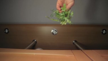 Taze yeşil aragula salatası yaprağı yiyeceğin üzerine düştü.
