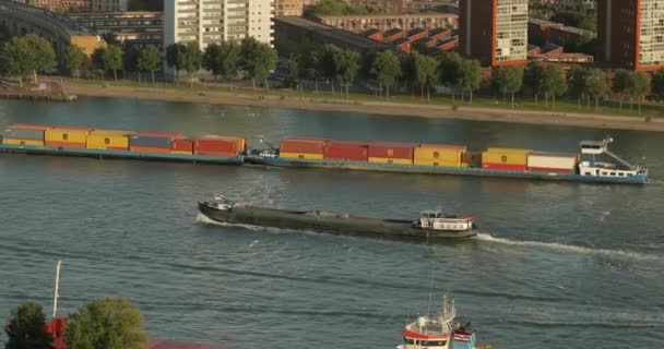 Ship carrying containers through rotterdam — Stock Video