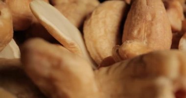 Sonda merceğindeki kaju fıstığı makrosu