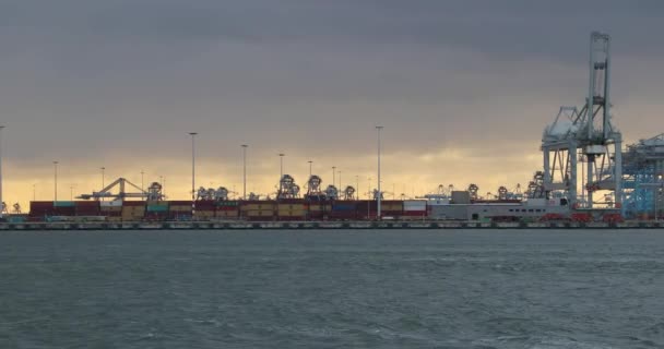 Containerterminalen på Rotterdam — Stockvideo