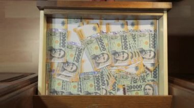 Banknotlar, Macar Forints