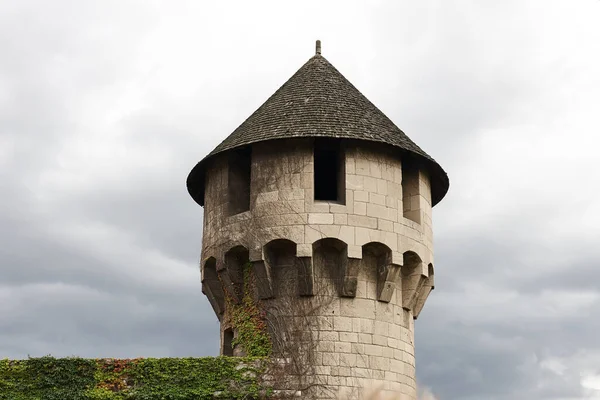 Castle Bastion Närbild — Stockfoto
