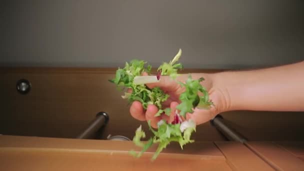 Свежий зеленый лист салата упал на еду — стоковое видео
