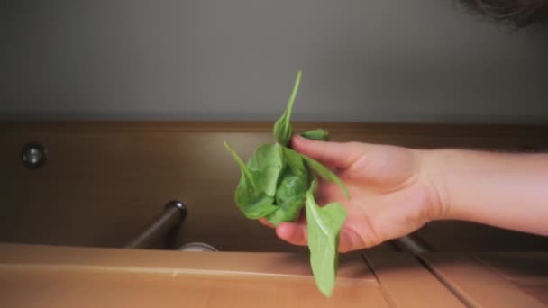 Foglie di spinaci verdi freschi caduto sul cibo — Video Stock