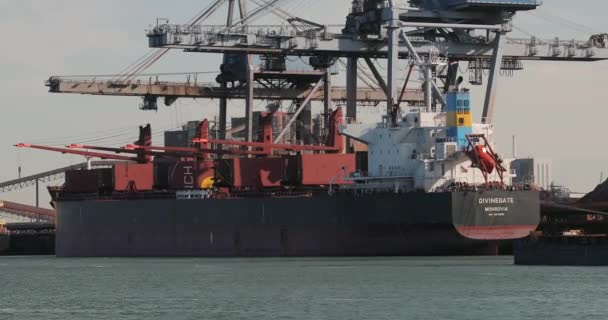 Déchargement d'un énorme navire à charbon — Video