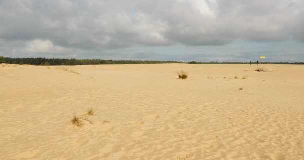 Písečná dunová krajina s nějakou vegetací — Stock video
