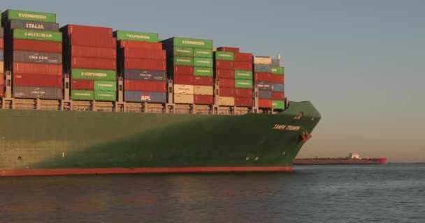 Enorme containerschip — Stockvideo