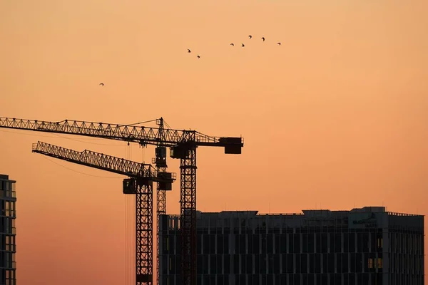 Lange bouwkranen — Stockfoto