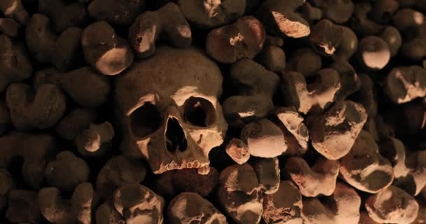 Черепи і кістки в стіні — стокове відео