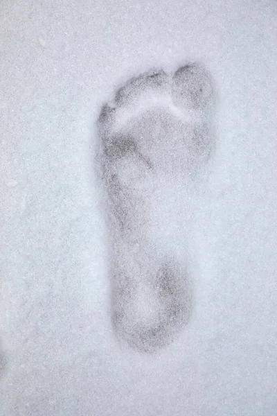Footprint barefoot in snow — Stock Photo, Image