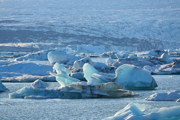 Glacial lake with icebergs