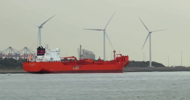 Navios industriais navegando perto de Roterdão — Vídeo de Stock