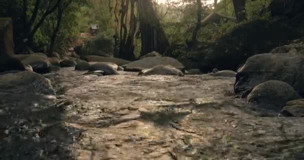 Fluxo e piscina natural na floresta tropical — Vídeo de Stock