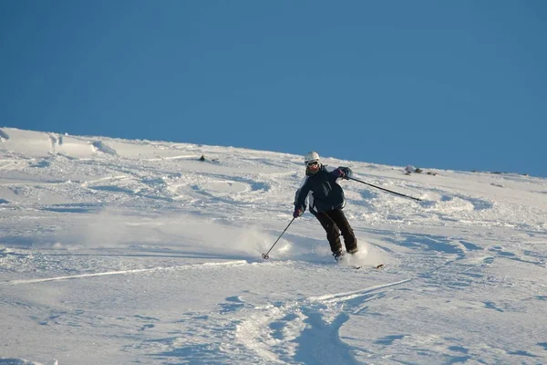 Skiën in verse poedersneeuw — Stockfoto