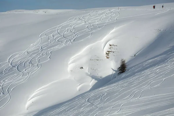 Piste de ski aux courbes fraîches — Photo