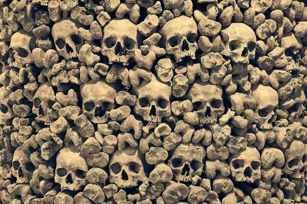 Crânios e ossos em uma parede — Fotografia de Stock