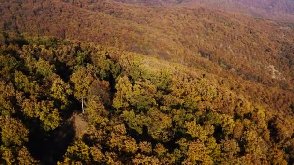 Colinas da floresta de outono imagens drones aéreos — Vídeo de Stock