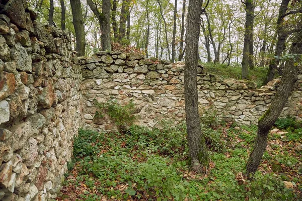 Vieux mur de pierre dans une forêt — Photo
