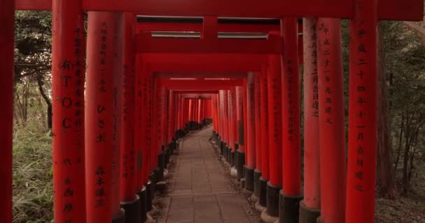 Fushimi Inari Taisha torii gerbang — Stok Video