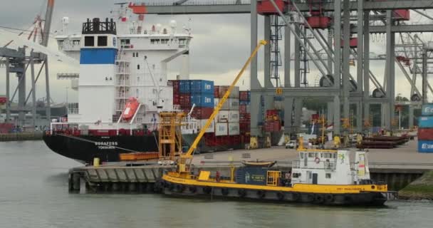 Kontejnerová loď v průmyslovém nákladním přístavu s — Stock video