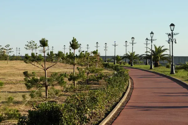 Carriles Bici Rodeados Plantas Tropicales Faroles Decorativos — Foto de Stock