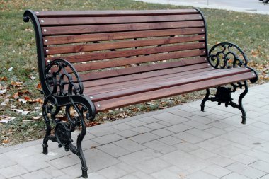 Tezgah ile sonbahar parkta kıvırcık kol dayama.