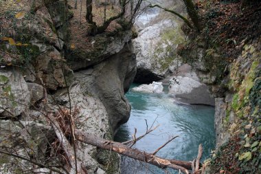 Khadzhokhskaya gitmek su üzerinde sıkışıp ağaç gövdeleri asılı