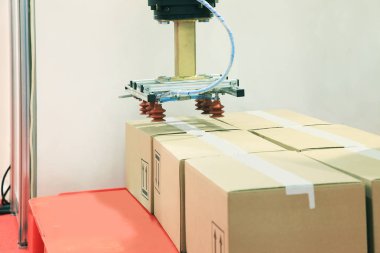 Ambalaj kutuları depodaki vakum bir mekanizma ile endüstriyel robot tarafından