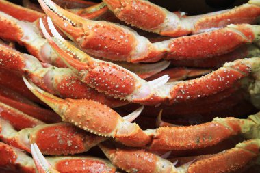 Kral Yengeç ekstremitelerin donmuş haşlanmış