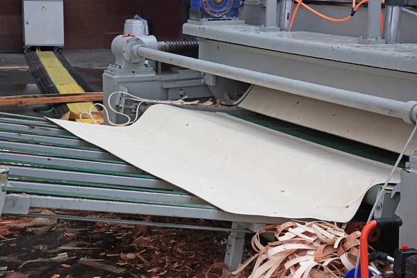 用原木生产胶合板的单板切割机 — 图库照片
