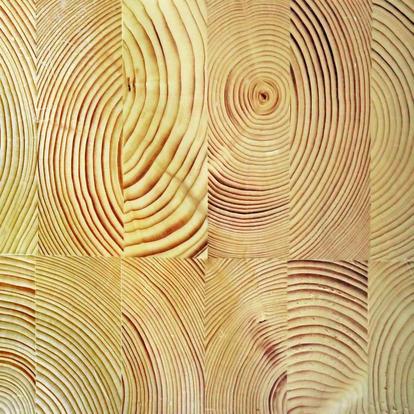 Lepený dřevěný hranol — Stock fotografie