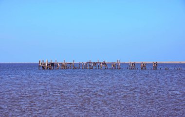 Virginia 'daki Chincoteage Adası plajı