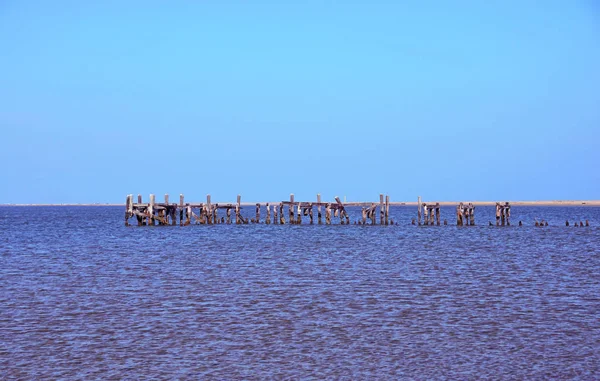 Playa Chincoteage Island Virginia —  Fotos de Stock