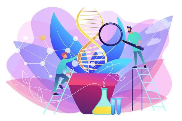 Генетически модифицированная векторная иллюстрация растений
.