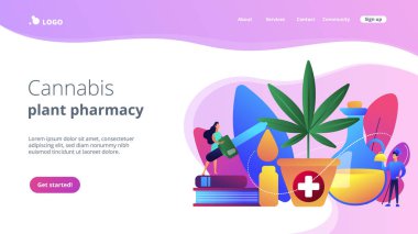 Kenevir tohumu yağı kavramı açılış sayfası.