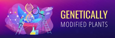 Genetik olarak değiştirilmiş bitki konsepti afişi başlığı.