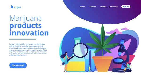 Página inicial do conceito de inovação de produtos Marihuana . — Vetor de Stock