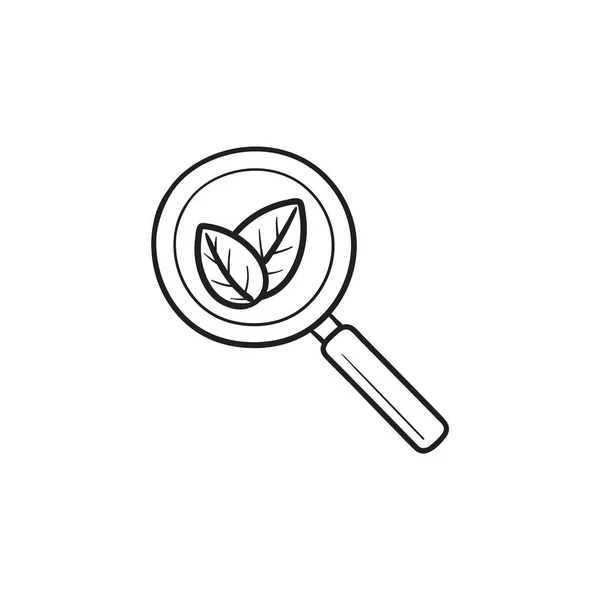 Lupe Mit Blättern Handgezeichnet Umriss Doodle Symbol Organische Suche Seo — Stockvektor
