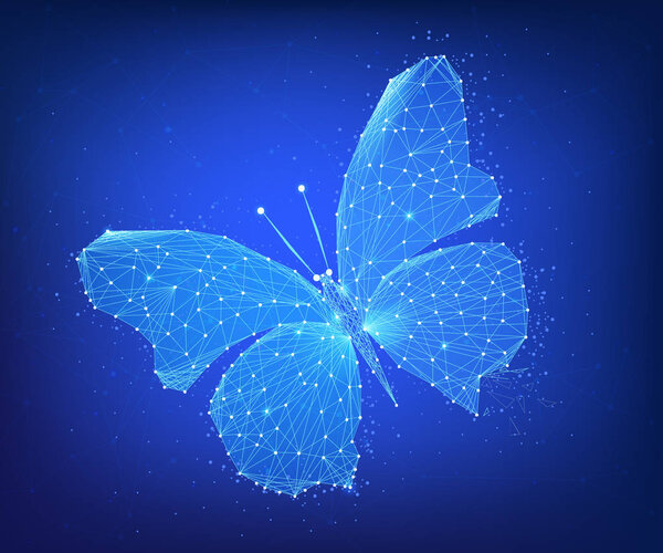 Многоугольная бабочка на блокчейн-худе
.