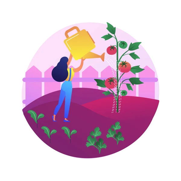 Gemüseanbau Abstrakte Konzeptvektorillustration Home Gardening Für Anfänger Bepflanzung Boden Bio — Stockvektor