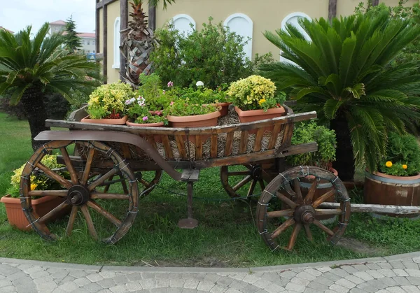 çiçek ile bir at olmadan eski sepeti