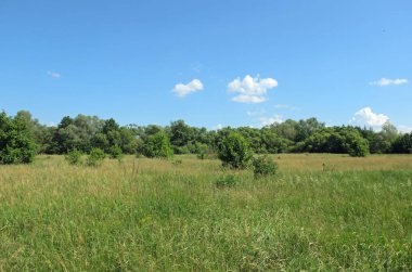 Alan yaz yatay, gökyüzü ve bulutlar